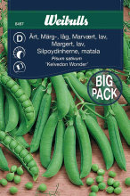 Margert, lav 'Kelvedon Wonder'